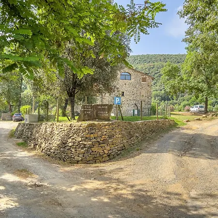 Majordoms - Blanc De Montagut * Girona