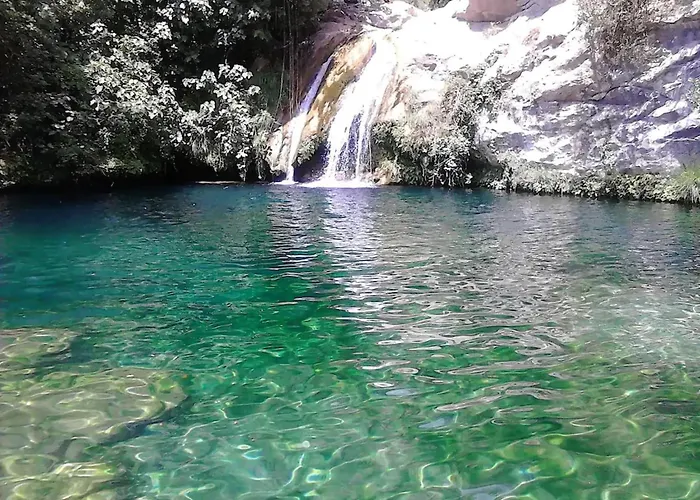 Majordoms - Blanc De Montagut * Girona