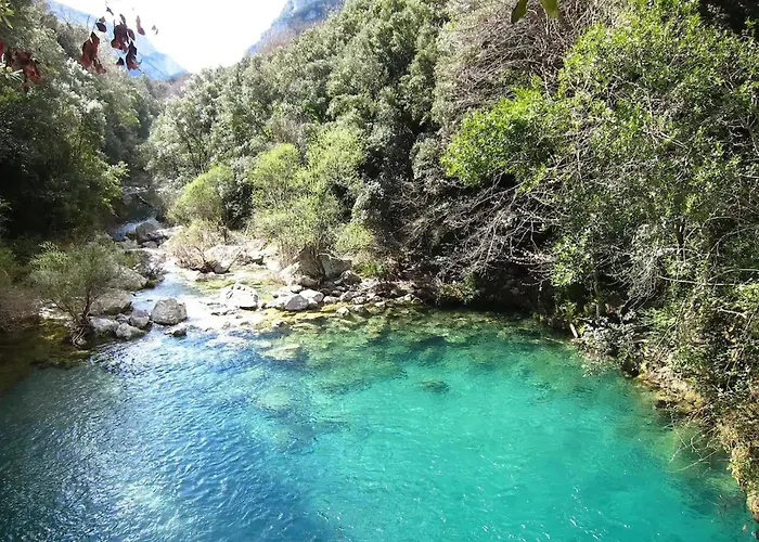 Majordoms - Blanc De Montagut *