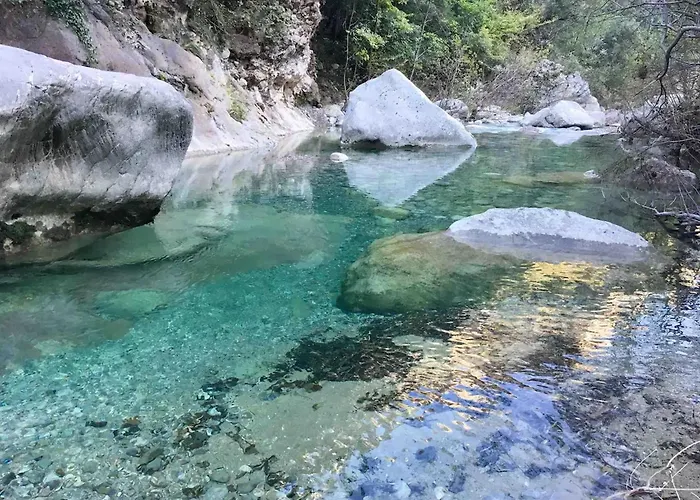 Majordoms - Blanc De Montagut Girona