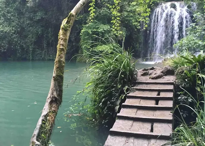 Majordoms - Blanc De Montagut Girona