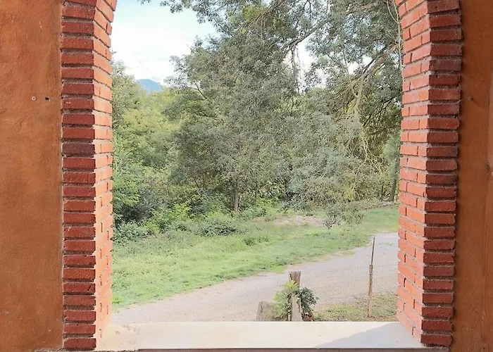 Majordoms - Blanc De Montagut * Girona