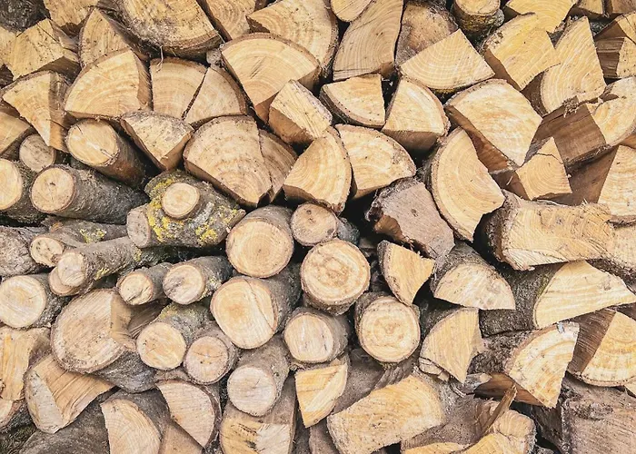 Apartmán Majordoms - Blanc De Montagut *