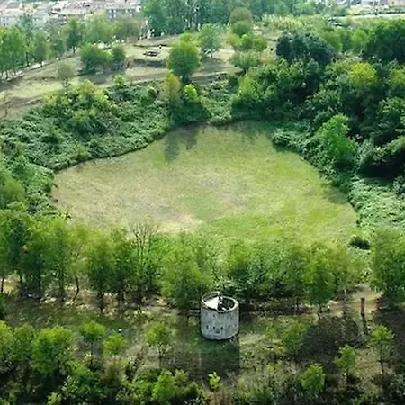 Majordoms - Blanc De Gerona