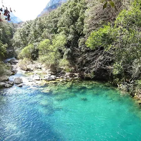 Majordoms - Blanc De *