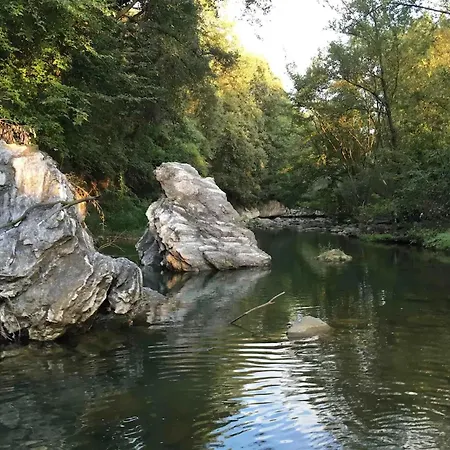 Majordoms - Blanc De * Gerona