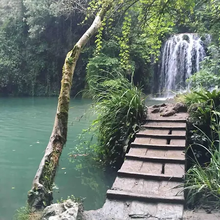 Majordoms - Blanc De Gerona