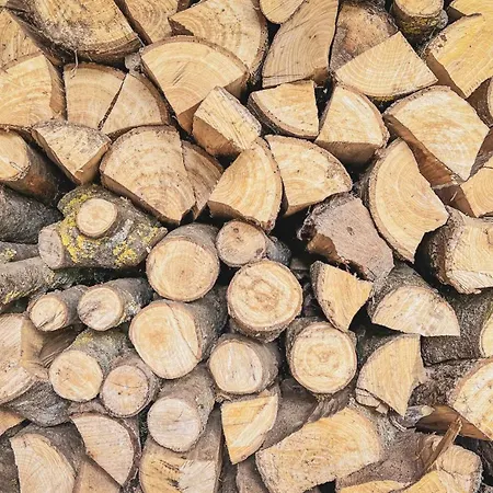 Apartment Majordoms - Blanc De *