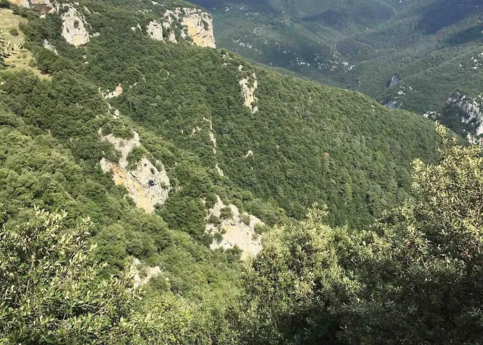 Majordoms - Blanc De Montagut *