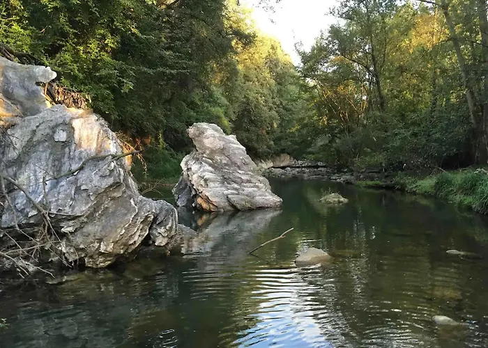 Majordoms - Blanc De Montagut * ז'ירונה